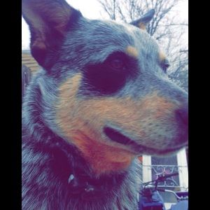 Meet your Posher, Elaina